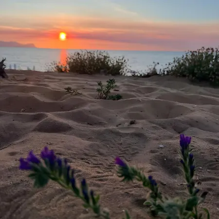 Venti Del Mare